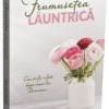 Frumusețea lăuntrică: Cum să fii o fată după inima lui Dumnezeu