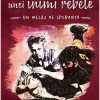 Îmblânzirea unei inimi rebele