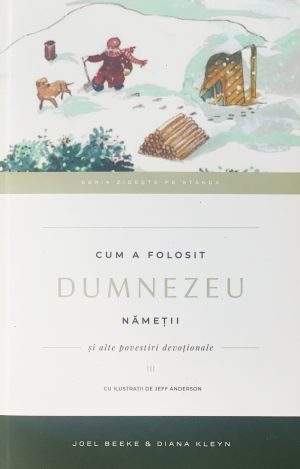 img_3840 Cum a folosit Dumnezeu nametii. Vol. 3. Seria Zideste pe Stanca