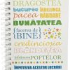 Jurnal mic Roada Duhului