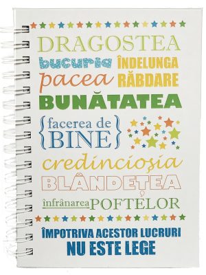 Jurnal mic Roada Duhului