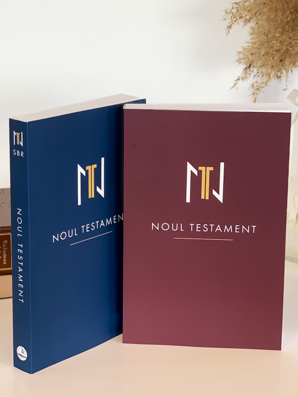 img_6226-2_2 Noul Testament SBR