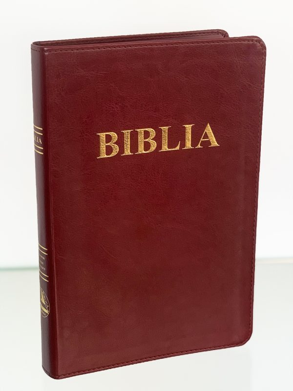 Biblie mare 073 visiniu