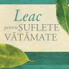 Leac pentru suflete vatamate