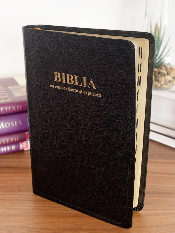 neagra_ti Biblie mare CO77 TI