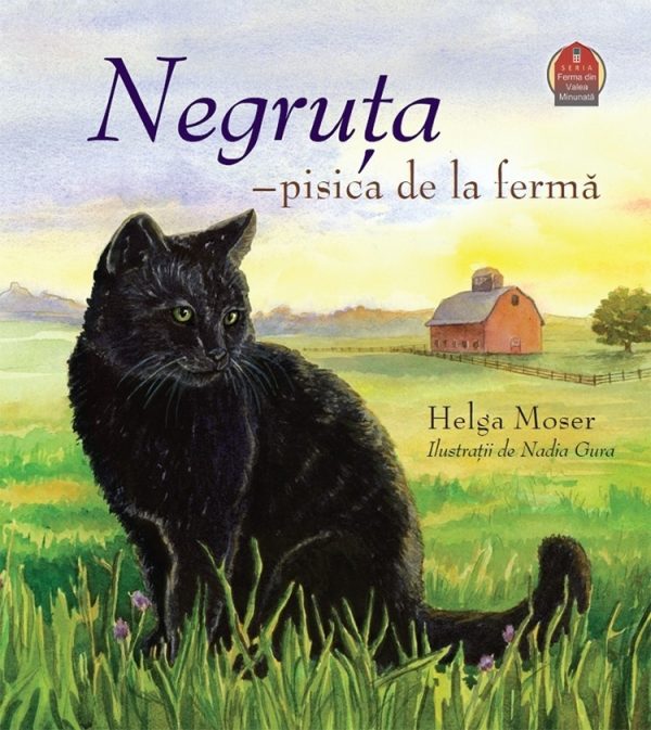 Negruta - pisica de la ferma ( Ferma din Valea Minunată)