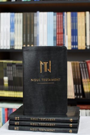 Noul testament SBR (NT-SBR) gri închis