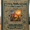 Pildele Domnului Isus - scurte istorisiri, adevăruri eterne