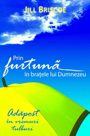 Prin furtuna in bratele lui Dumnezeu. Adapost in vremuri tulburi
