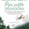 Prin porțile splendorii