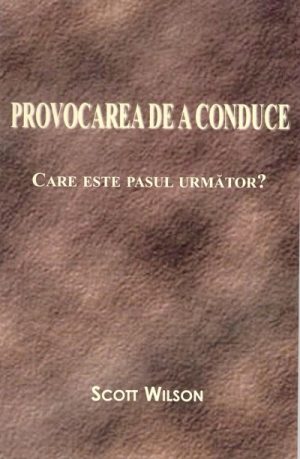 provocarea Provocarea de a conduce
