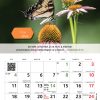sbr4 Calendar 2026 - format A4