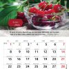 sbr5 Calendar 2026 - format A4