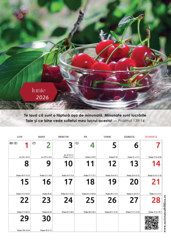 sbr5 Calendar 2026 - format A4