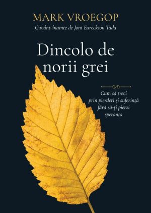 dincolo-de-norii-grei-01 Dincolo de norii grei: Cum să treci prin pierderi și suferință fără să-ți pierzi speranț